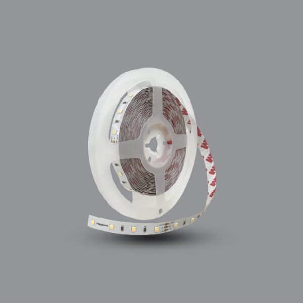 Đèn LED dây LED2835 - 12W - Đèn led dây Paragon
