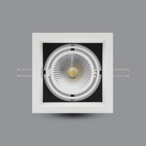 Đèn LED Downlight 15W âm trần có Dimmer OLT115L15/D1 5