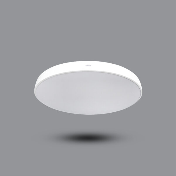 Đèn LED gắn nổi hoặc treo trần PMRB800L78 4