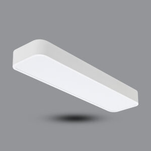Đèn LED gắn nổi hoặc treo trần PPBA24L6015 8