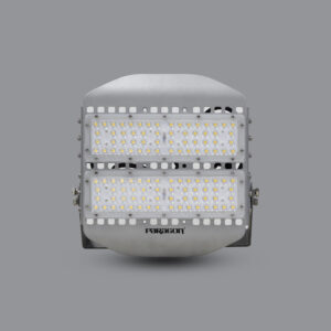 Đèn LED pha 100w POFA100L 11