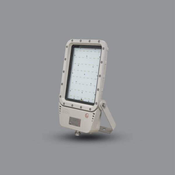 Đèn pha phòng chống nổ EEW 120w BZD129-120 4