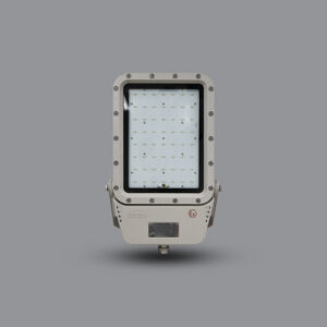 Đèn pha phòng chống nổ EEW 120w BZD129-120 11