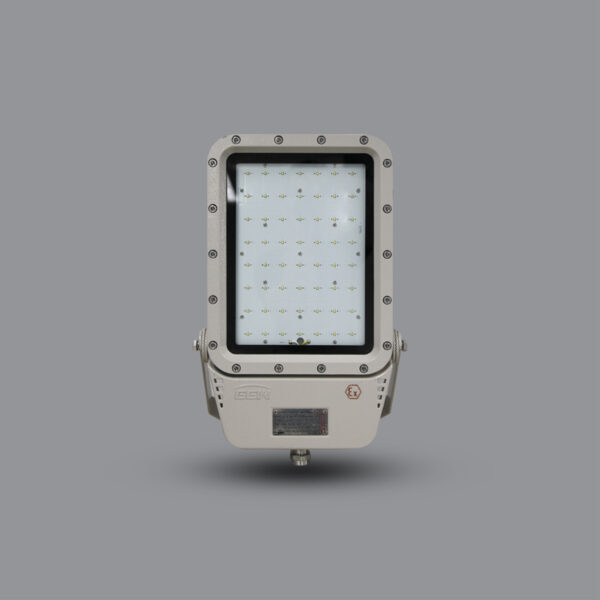 Đèn pha phòng chống nổ EEW 120w BZD129-120 7