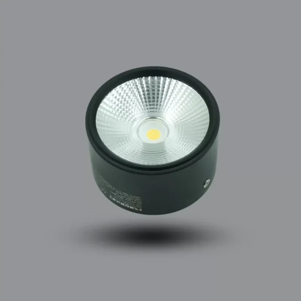 Đèn LED downlight 10W gắn nổi SD02 90/10 3